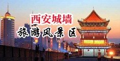 肥妇与狗中国陕西-西安城墙旅游风景区